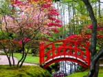 Japanese garden