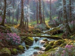 Forest Creek