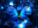 BLUE BUTTERFLY