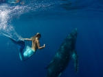 The Humpback whale and a Mermaid.