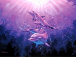 Dolphins in a pink light