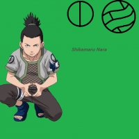 ShikamaruNara