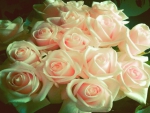 a bunch of pale pink roses