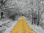 Yellow path!