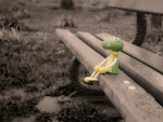 Lost toy crocodile!