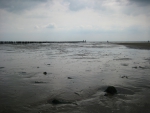 Low tide