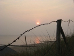 Sunset barbed wire
