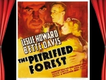 The Petrified Forest01