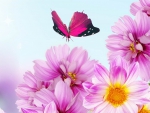 lovely flowers and butterfly
