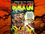 Black Cat Comic01