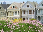 Victorian Houses