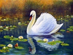 Swan and lotus