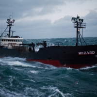 Deadliest Catch Wizard