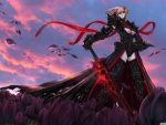 Fate Stay Night Saber Alter