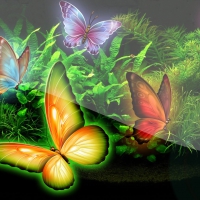 Butterfly Garden