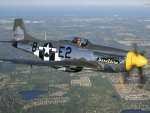 P-51D MUSTANG