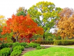 Park in the autumn