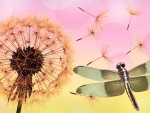Dandelion and Dragonfly