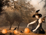 halloween witch