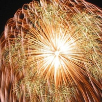 Golden Palm Fireworks