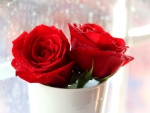 Red roses