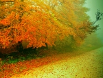 AUTUMN MIST