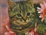 A tabby kitten with flowers