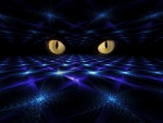 Cat Eyes Fantasy