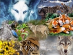 WILD ANIMALS COLLAGE