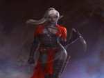 Dark Elf Warrior