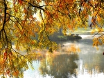 Autumn tree over lake