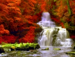 AUTUMN FOREST WATERFALLS
