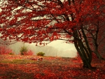 Red Autumn