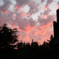 Camano Island Sunset