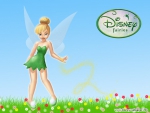 Tinkerbell