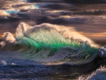 Beautiful wave