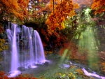 AUTUMN FOREST FALLS