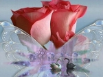Butterfly and Roses