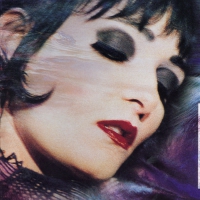 Siouxsie and the Banshees - The Rapture