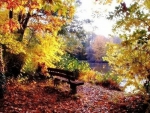 Beautiful Autumn Bench