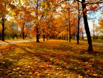 AUTUMN PARK