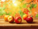 Autumn Apples