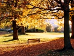 Beautiful Autumn