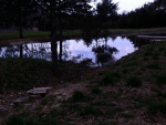 Pond at Dusk