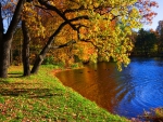 Autumn lake