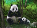 Pandas