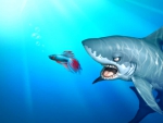 Windows Shark