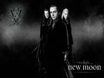 Twilight- Volturi
