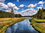 grizzlyriver at Yellowstone National Park HDR