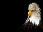 Eagle Fractal
